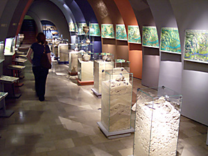 Exhibition in the Museum of Archeology in Krakow